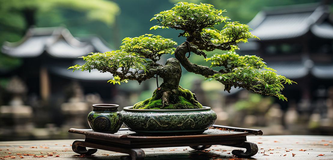 Enhance Your Living Space with Bonsai Plants: The Perfect Home Companions